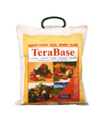TeraBase
